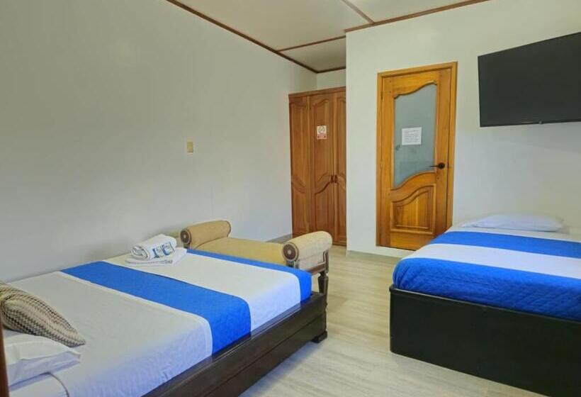 פנסיון Flightless Cormorant