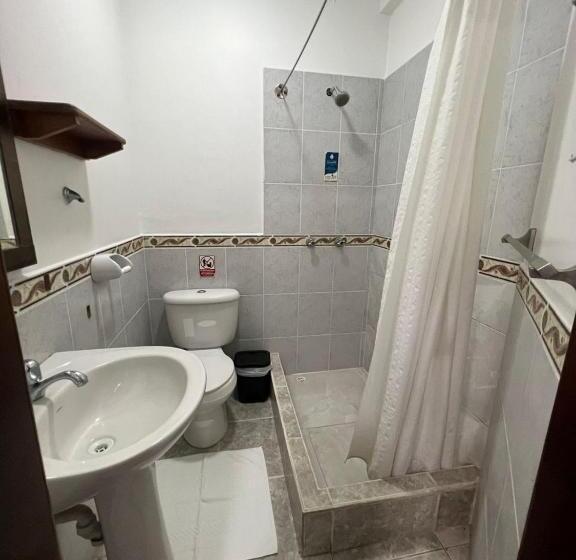 פנסיון Flightless Cormorant