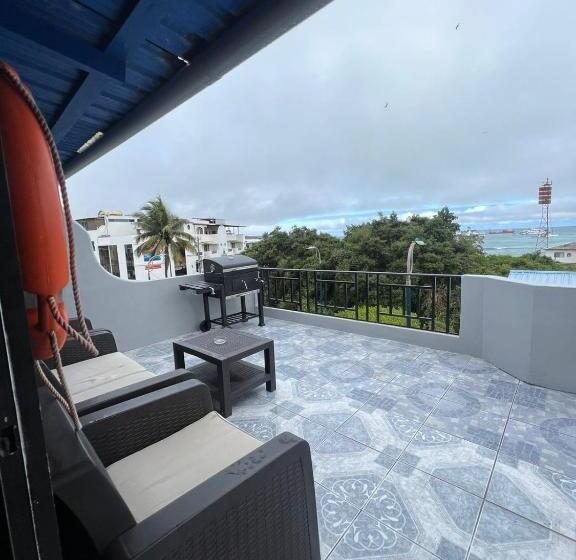 פנסיון Flightless Cormorant