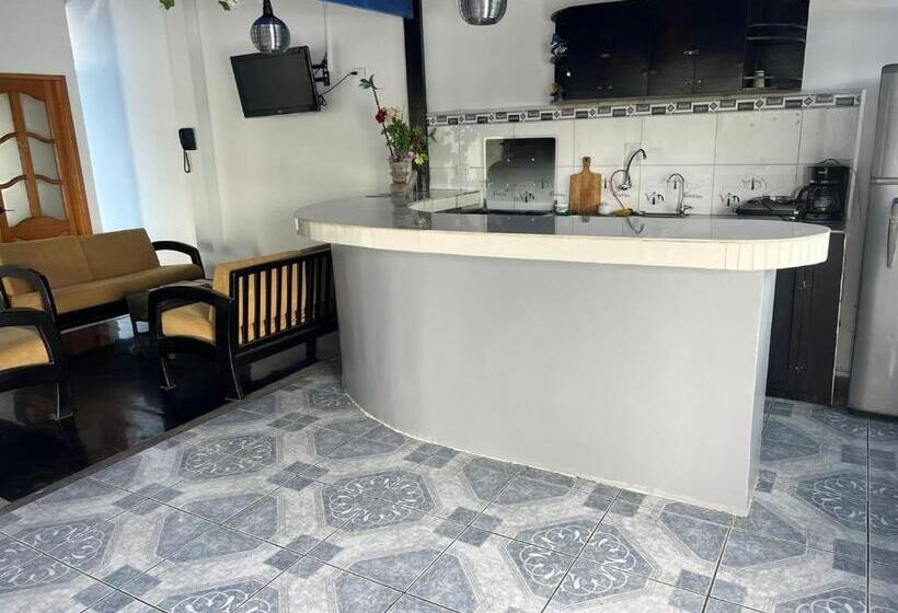 פנסיון Flightless Cormorant