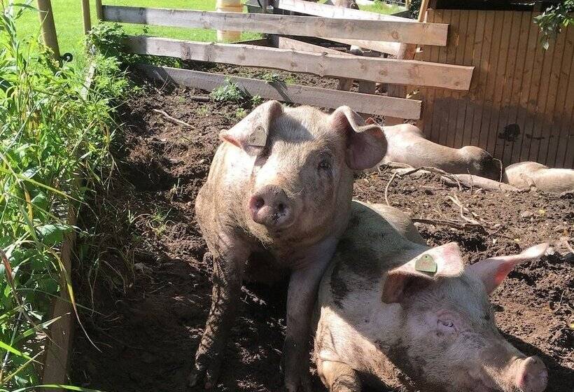 Søstrene Storaas Hotell