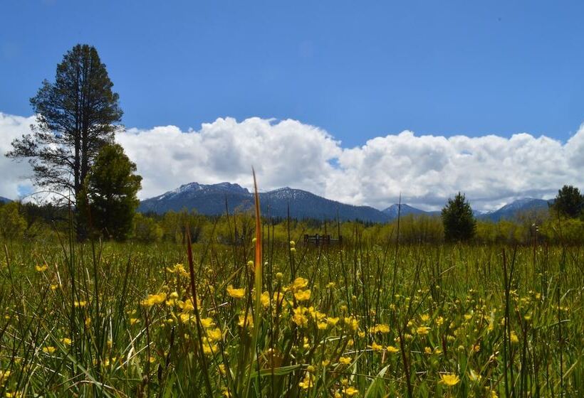 Tahoe Valley Campground