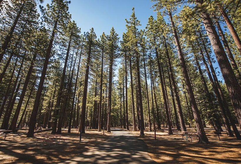 Tahoe Valley Campground
