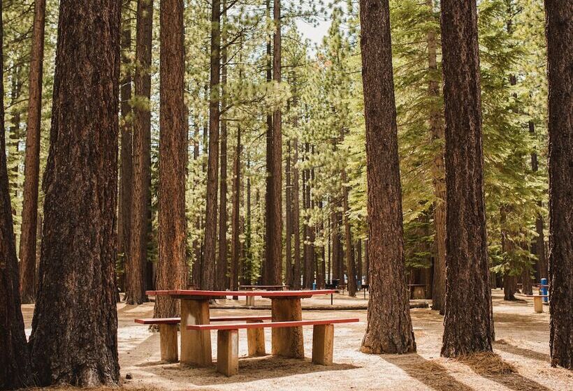 Tahoe Valley Campground