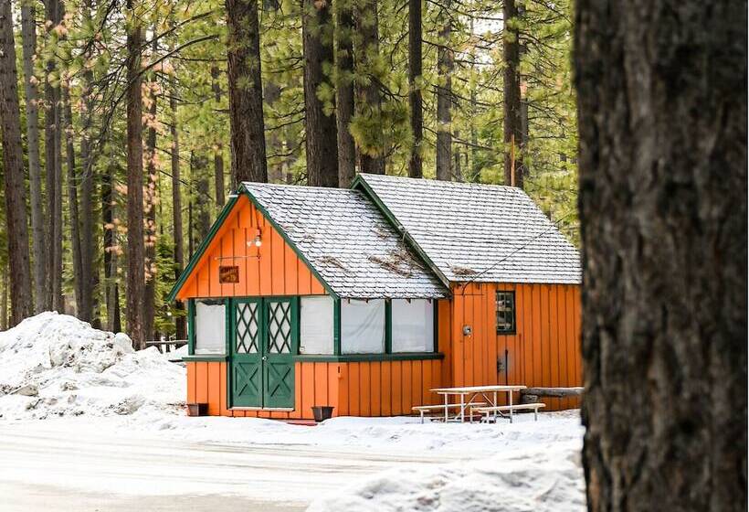 Tahoe Valley Campground