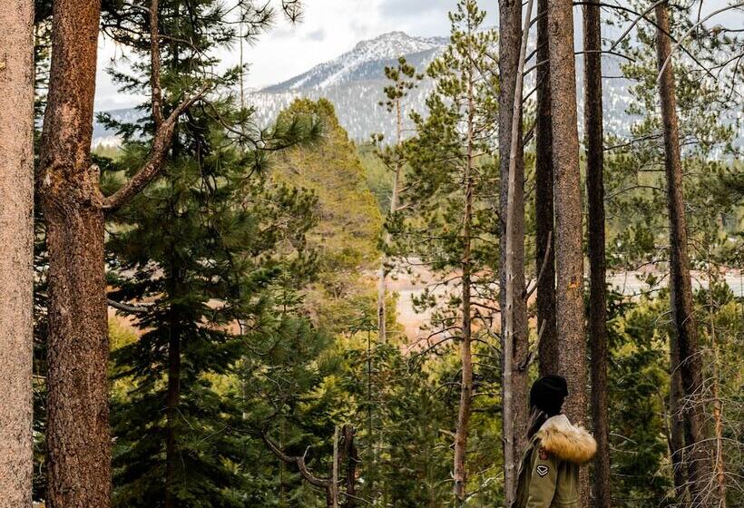 Tahoe Valley Campground