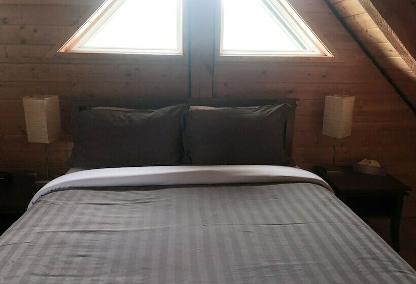 Wild Pacific Waterfront Cabins