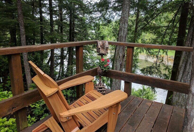 Wild Pacific Waterfront Cabins