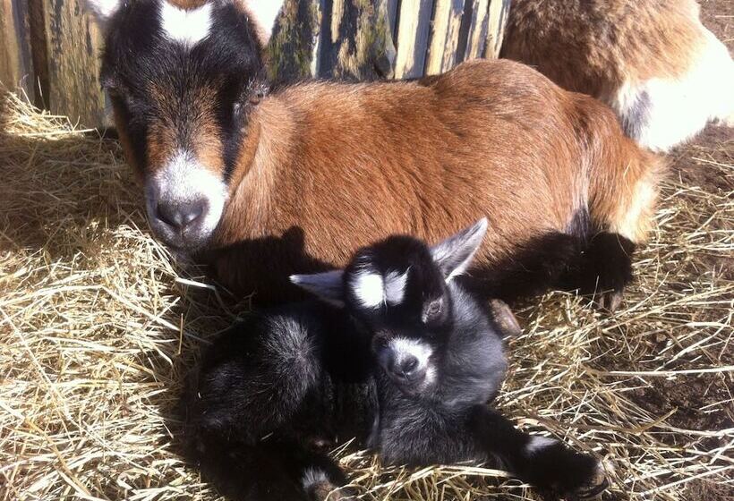 Feriecenter & Vandland øster Hurup