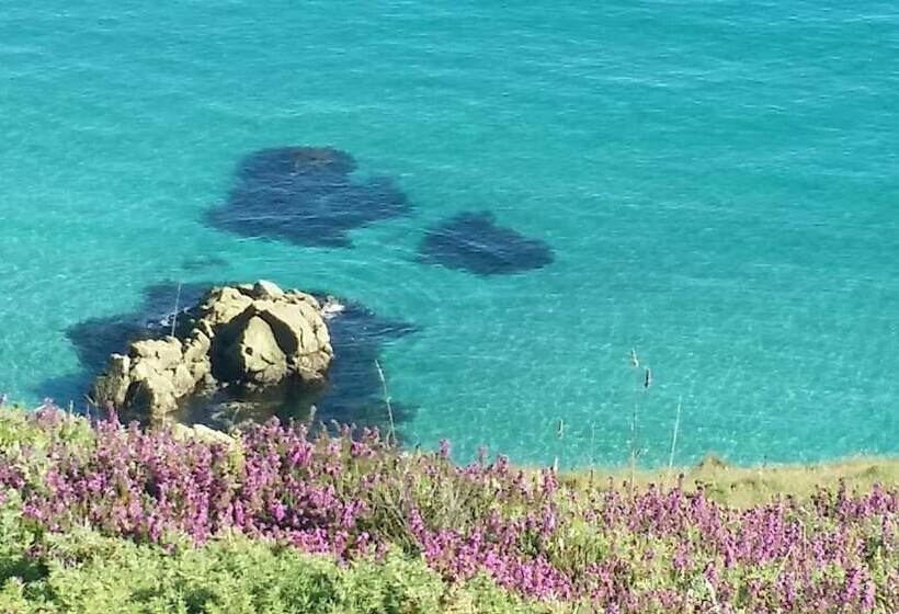 Hawthorn Yurt Award Winning Wych Elm Glamping