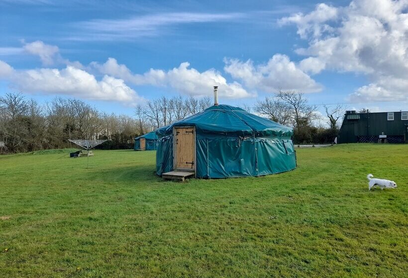 Hawthorn Yurt Award Winning Wych Elm Glamping