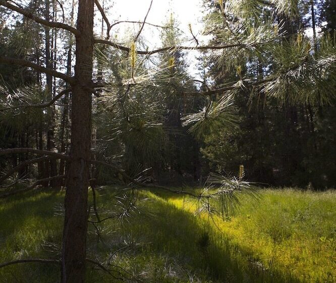 호텔 Evergreen Lodge at Yosemite