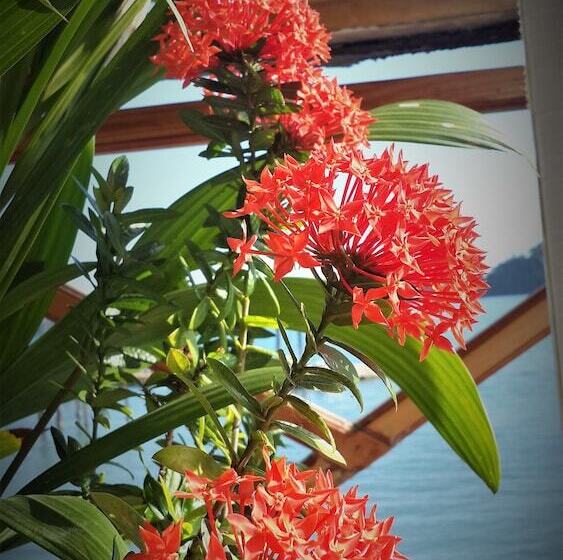 فندق Fish Hook Marina & Lodge