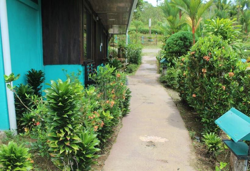 فندق Posada Río Celeste La Amistad