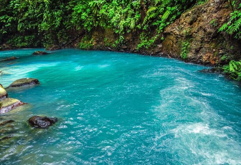 فندق Posada Río Celeste La Amistad