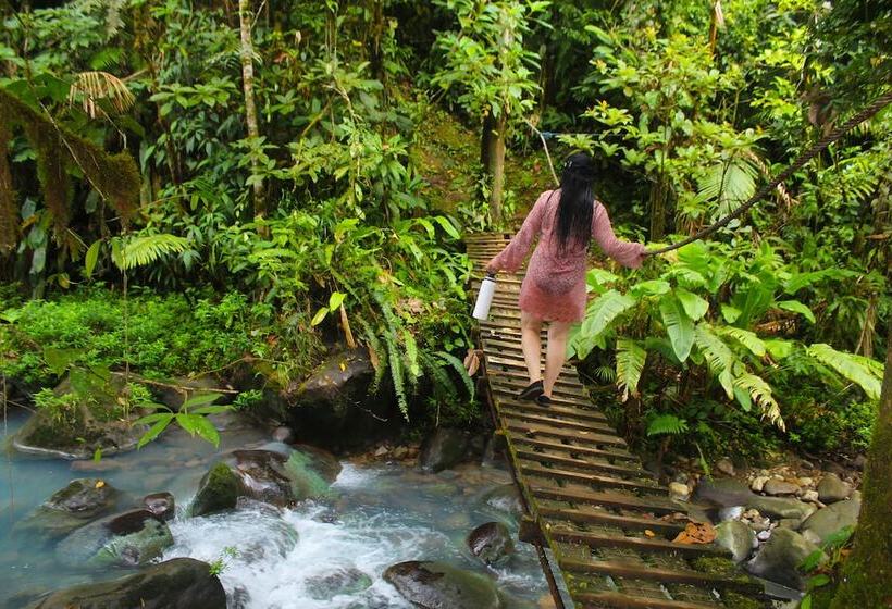 فندق Posada Río Celeste La Amistad