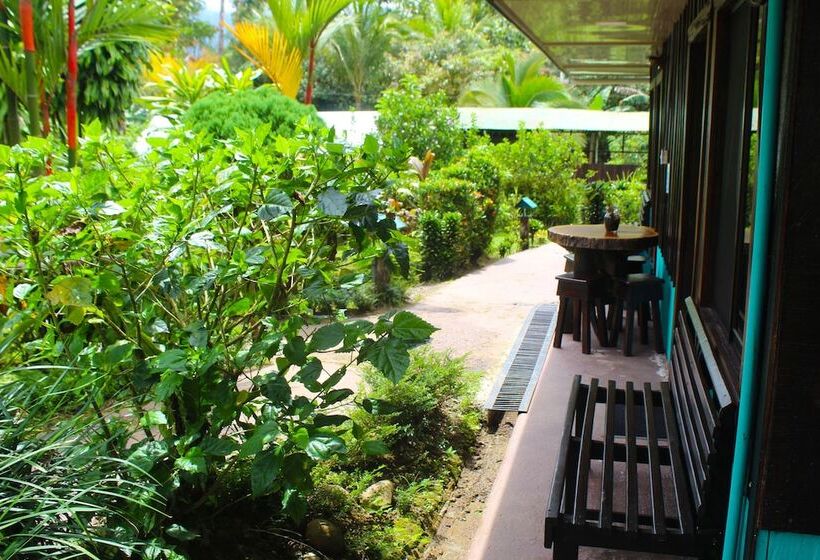 فندق Posada Río Celeste La Amistad