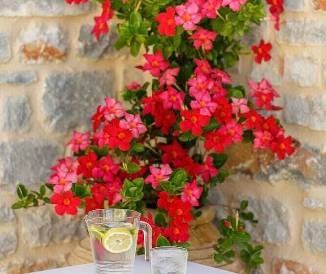 בית מלון כפרי Salvia Areopolis All Suite
