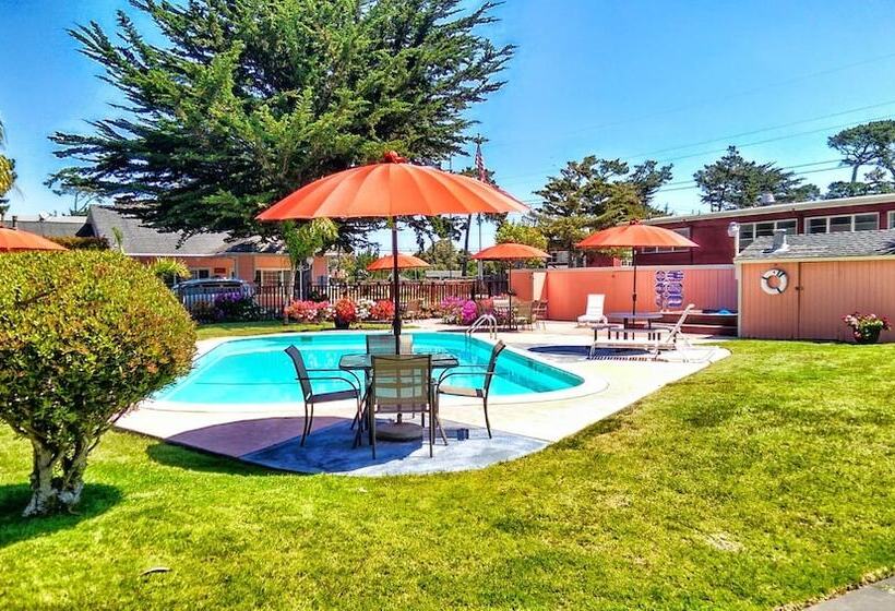 فندق على الطريق Butterfly Grove Inn