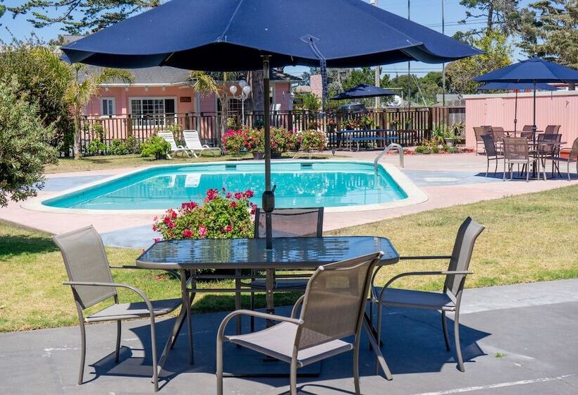 מוטל Butterfly Grove Inn