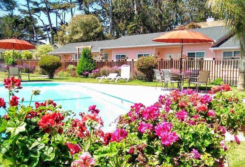 فندق على الطريق Butterfly Grove Inn