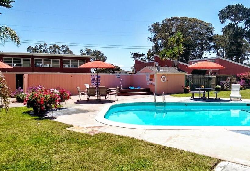 מוטל Butterfly Grove Inn