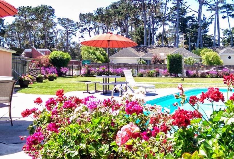 فندق على الطريق Butterfly Grove Inn