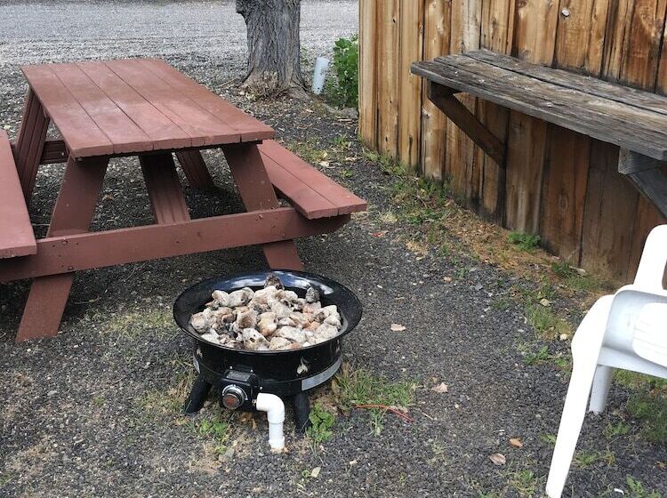 모텔 Virginia Creek Settlement