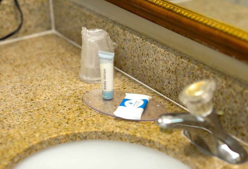 מוטל Wintergarden Inn