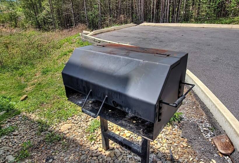 Bear Cove Falls #4133