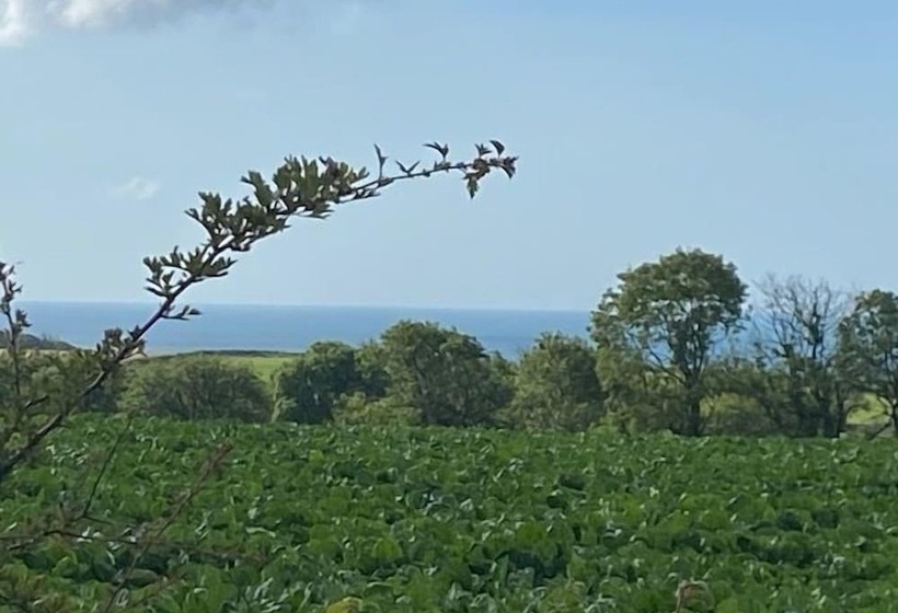 Elidyr Cottage   3 Bed Cottage   Amroth