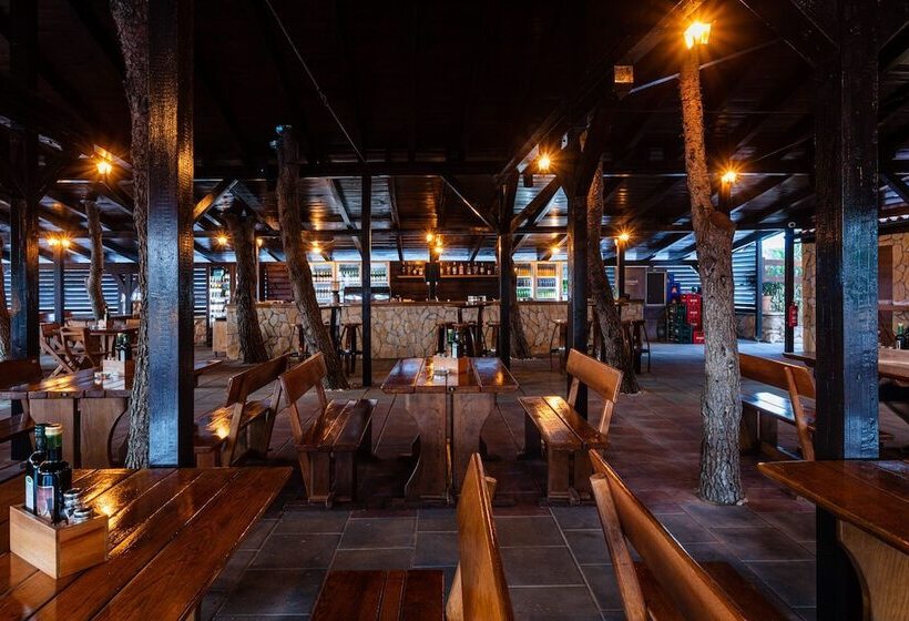 Hostel & Rooms Vagabundo