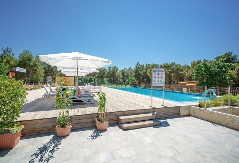 בית מלון כפרי Executive Park View Room With Breakfast Included