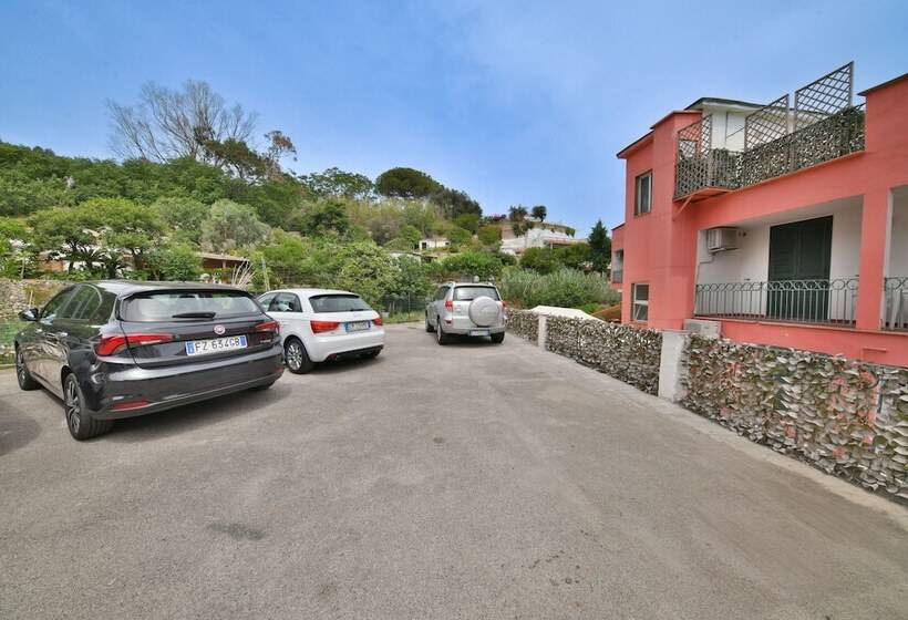 בית מלון כפרי Fortuna Beach