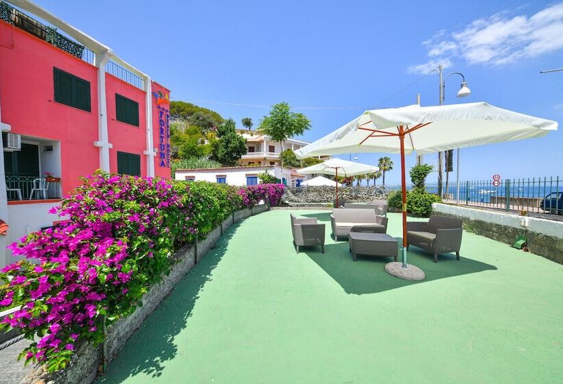 בית מלון כפרי Fortuna Beach