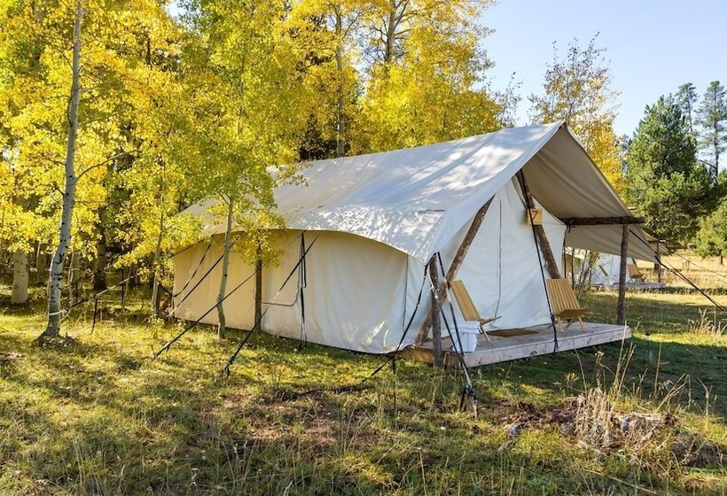 בית מלון כפרי Tammah   Yellowstone   Glamping
