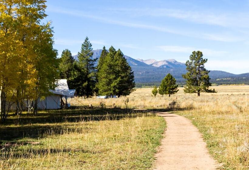 בית מלון כפרי Tammah   Yellowstone   Glamping