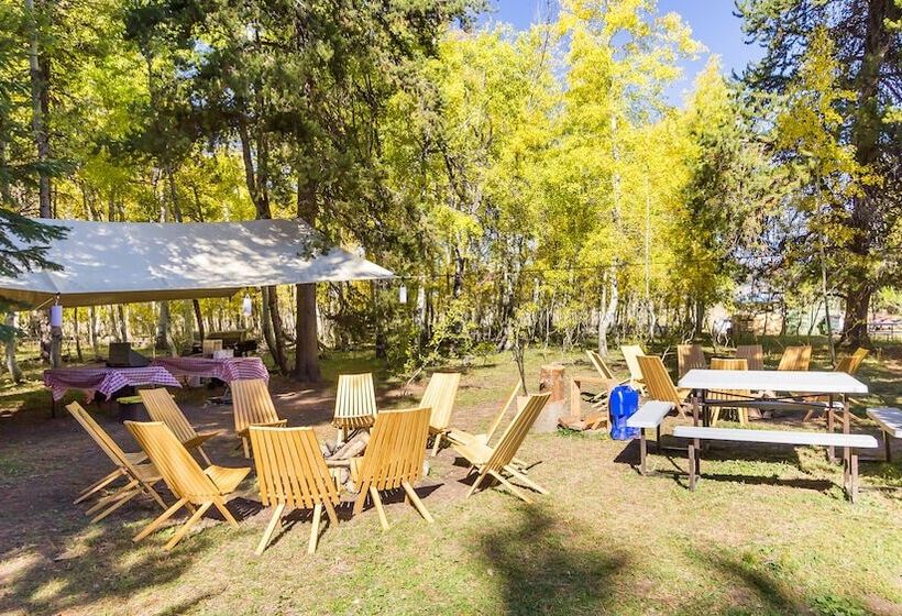 בית מלון כפרי Tammah   Yellowstone   Glamping