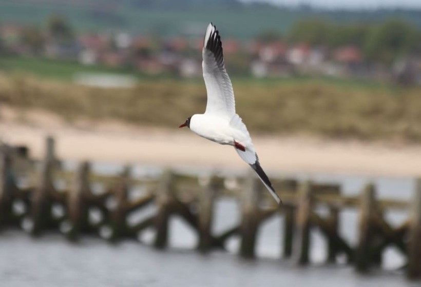 Kindly Light Cottage