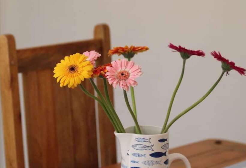 Kindly Light Cottage