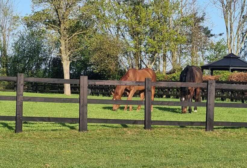 Paddock Cottage   Thorpe Arnold, Melton Mowbray