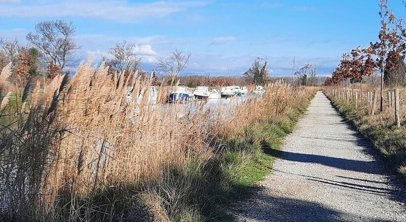 펜션 Gîte Et Chambres D Hôtes  Le Coq Du Nord   Mailhac