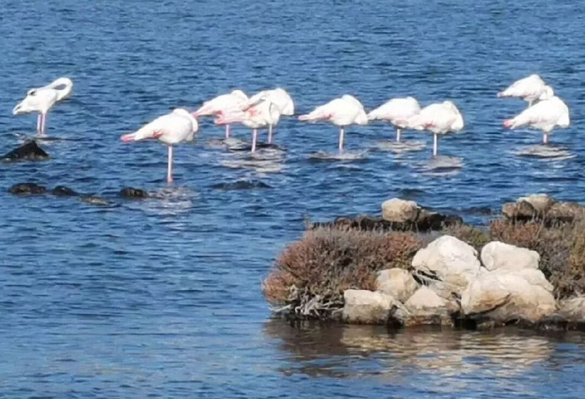 펜션 Gîte Et Chambres D Hôtes  Le Coq Du Nord   Mailhac
