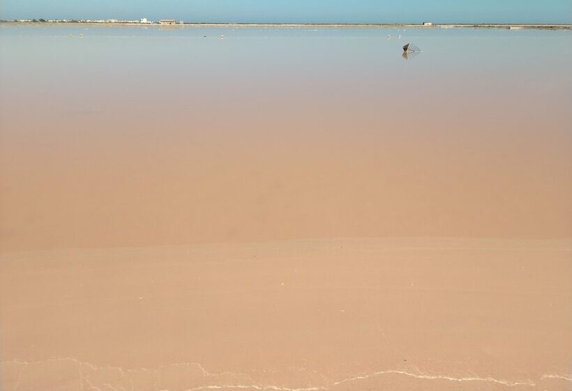 ペンション Gîte Et Chambres D Hôtes  Le Coq Du Nord   Mailhac