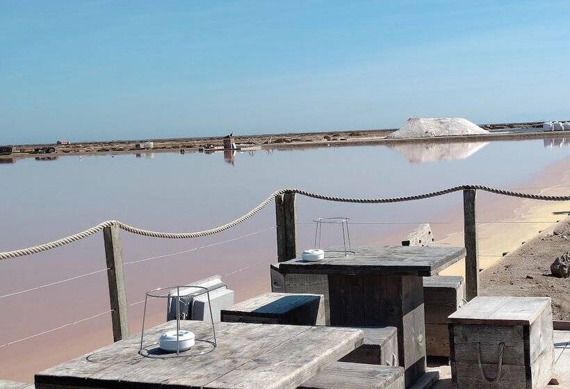 ペンション Gîte Et Chambres D Hôtes  Le Coq Du Nord   Mailhac