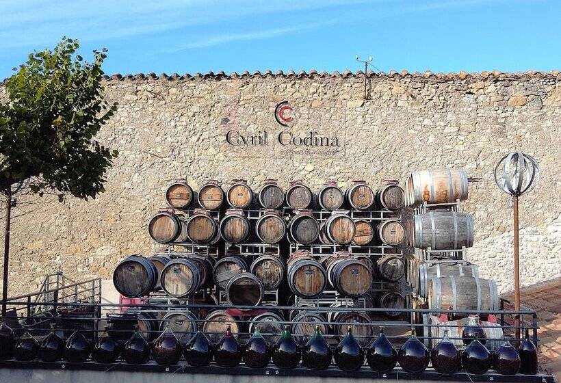 펜션 Gîte Et Chambres D Hôtes  Le Coq Du Nord   Mailhac