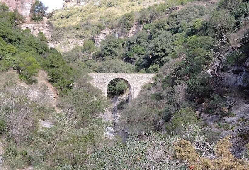 ペンション Gîte Et Chambres D Hôtes  Le Coq Du Nord   Mailhac