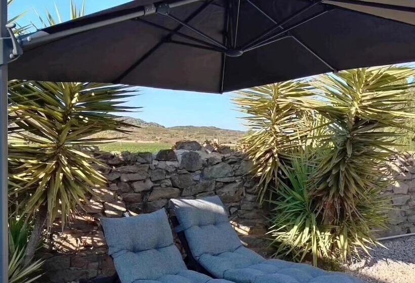 펜션 Gîte Et Chambres D Hôtes  Le Coq Du Nord   Mailhac