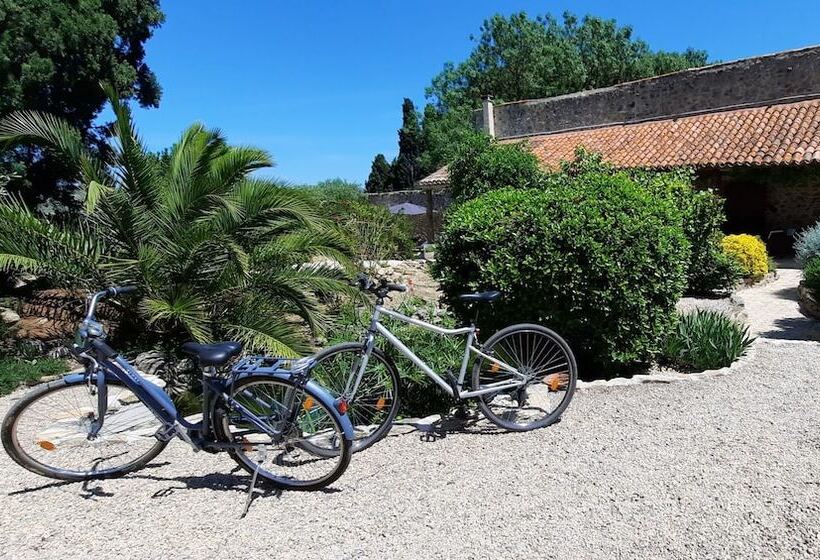 ペンション Gîte Et Chambres D Hôtes  Le Coq Du Nord   Mailhac