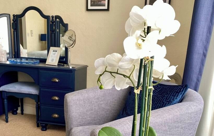 פנסיון The Wadham